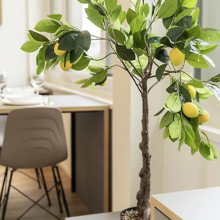 Stilvoll&zentral In St Gallen -wyba Living P Daire St. Gallen