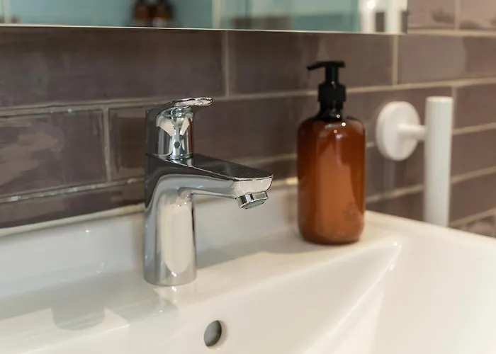 公寓 Stilvoll&zentral In St Gallen -wyba Living P 圣加仑