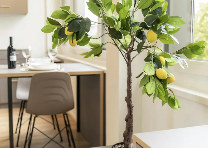 Stilvoll&zentral In St Gallen -wyba Living P 公寓 圣加仑